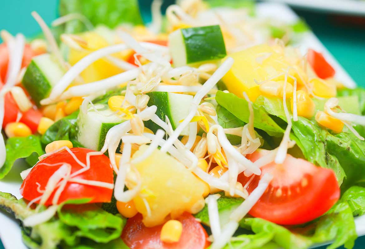 Ensalada Jardinera